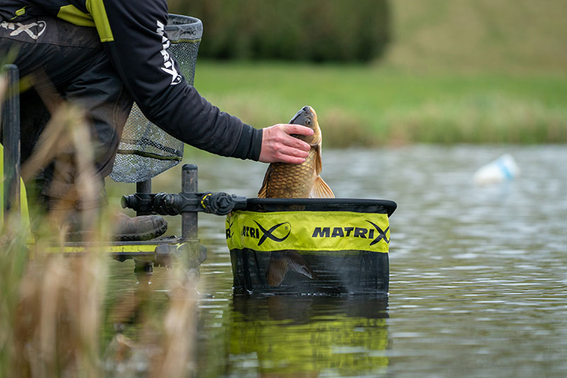Commercial Keepnet Pack (3x Nets) - Matrix Fox - immagine 8