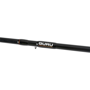 Guru