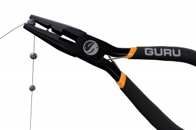 Guru