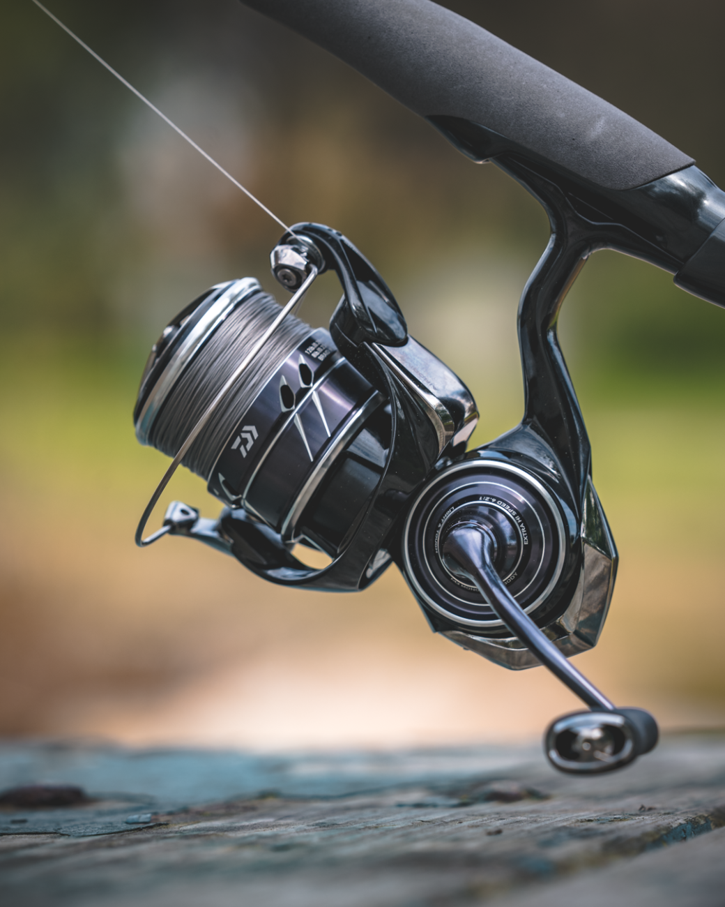 23 Tatula MQ LT - Daiwa - immagine 3