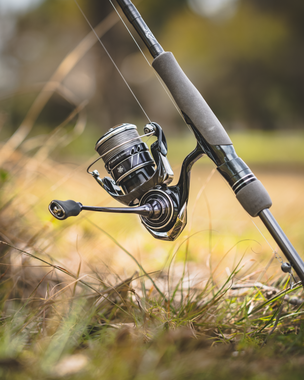 23 Tatula MQ LT - Daiwa - immagine 4