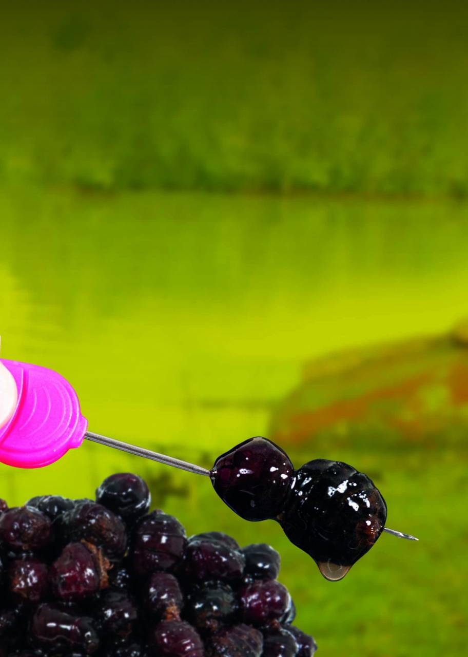 Frenzied Tiger Nut Black - Dynamite Baits - immagine 2