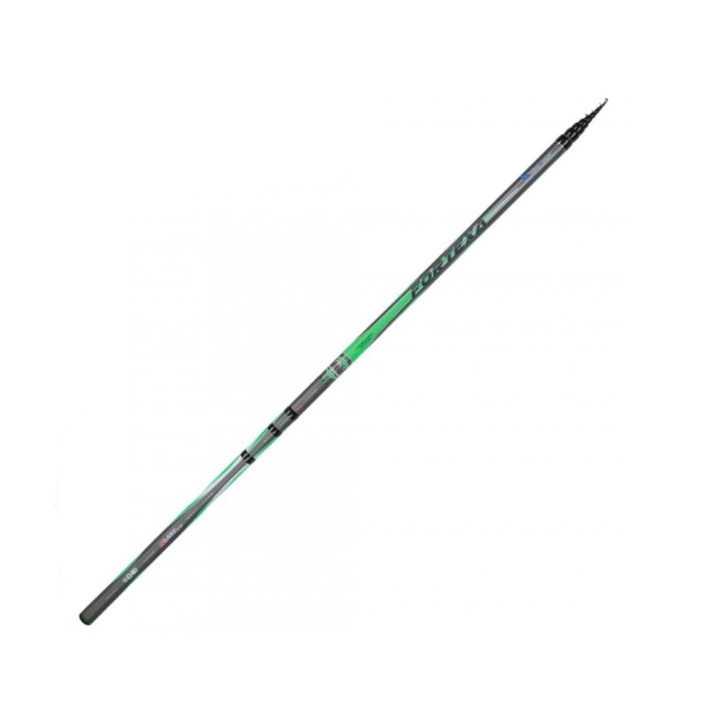 Canna SEMINUOVA Fortexa FB-T 700 Strong - Italica