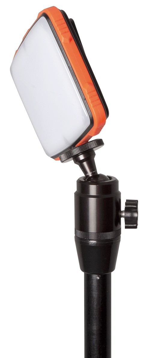 Halo Photography Light - Fox - immagine 3