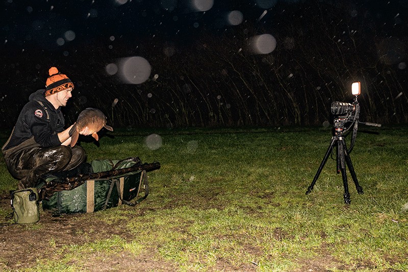 Halo Photography Light - Fox - immagine 5