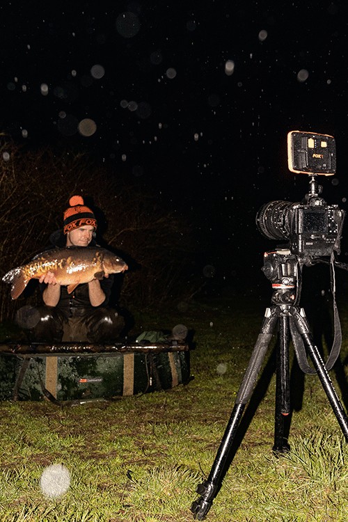 Halo Photography Light - Fox - immagine 6