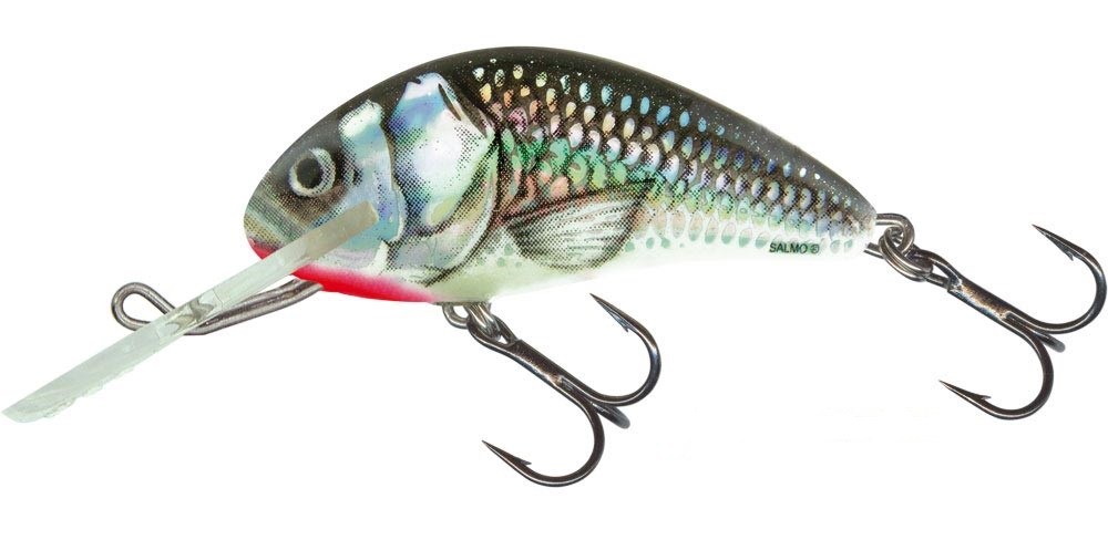 Hornet Floating Holograpich Grey Shiner - Salmo