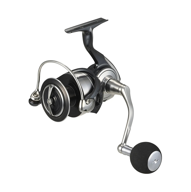 24 Certate SW - Daiwa - immagine 5