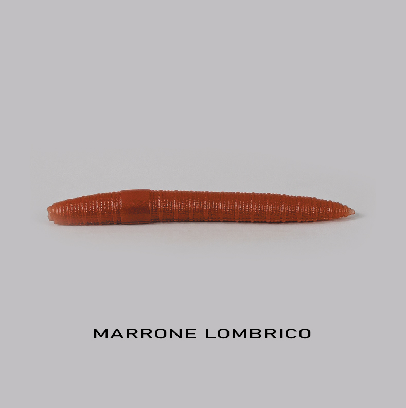 Verme Piatto - Righetti Bait System - immagine 9