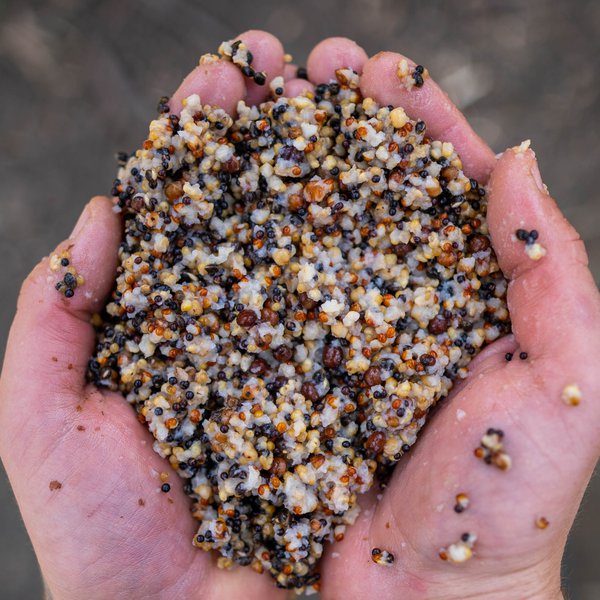Small Seed Mix - Nash - immagine 2