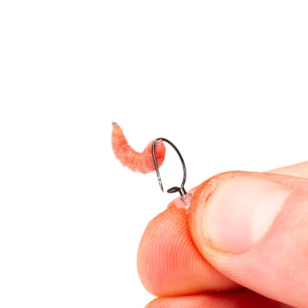 Maggot Screw - Nash - immagine 4