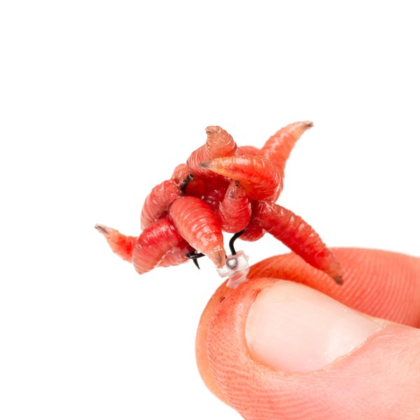 Maggot Screw - Nash - immagine 5