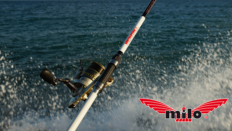 Canna Redvolution Scomber Sensitive - Milo - immagine 2