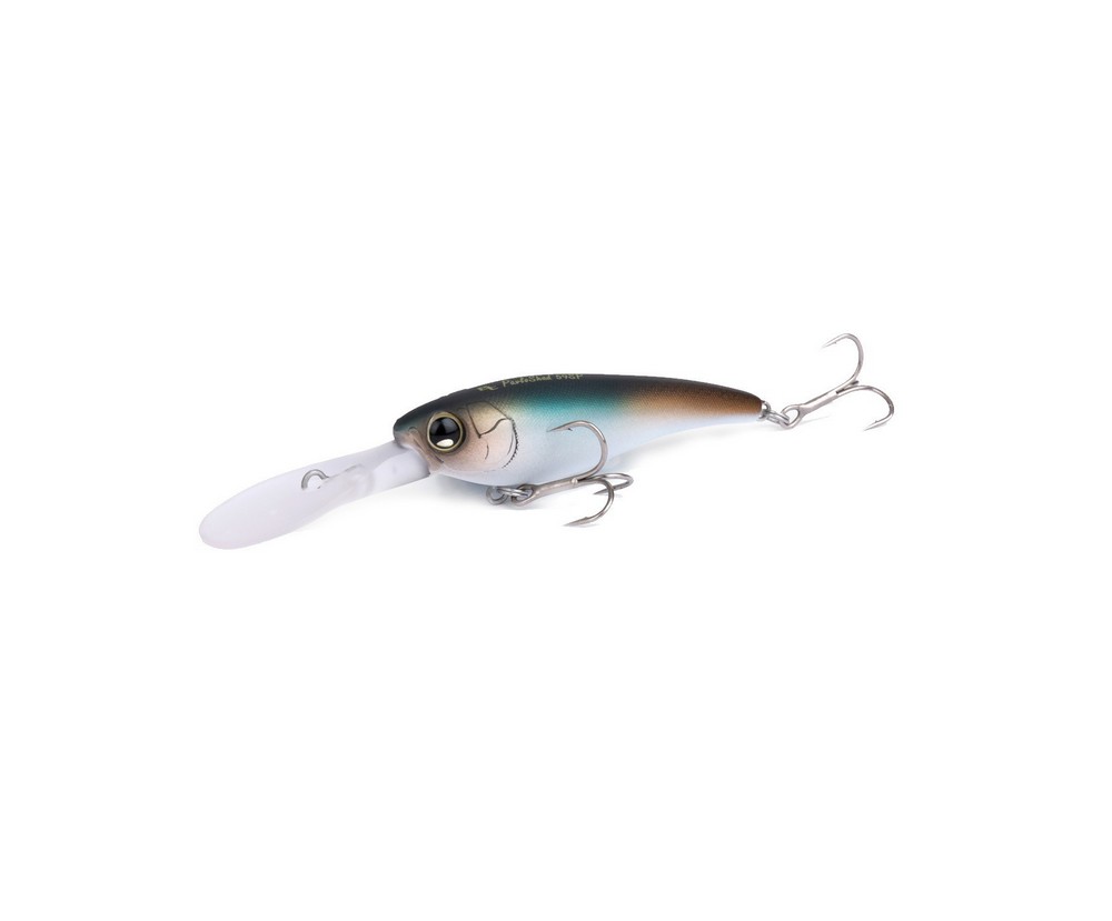 bantam pavlo shad shimano