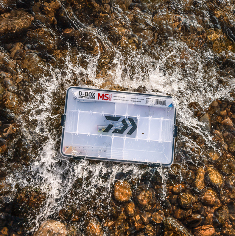 Daiwa