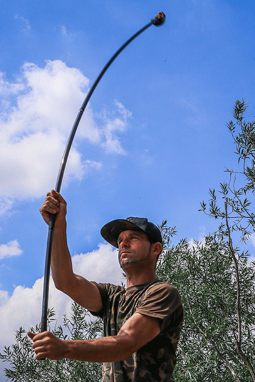 Distance Baiting Fox
