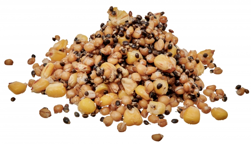 Ready Seeds Demon Spod Mix - Starbaits - immagine 3