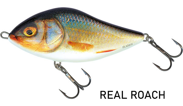 Salmo