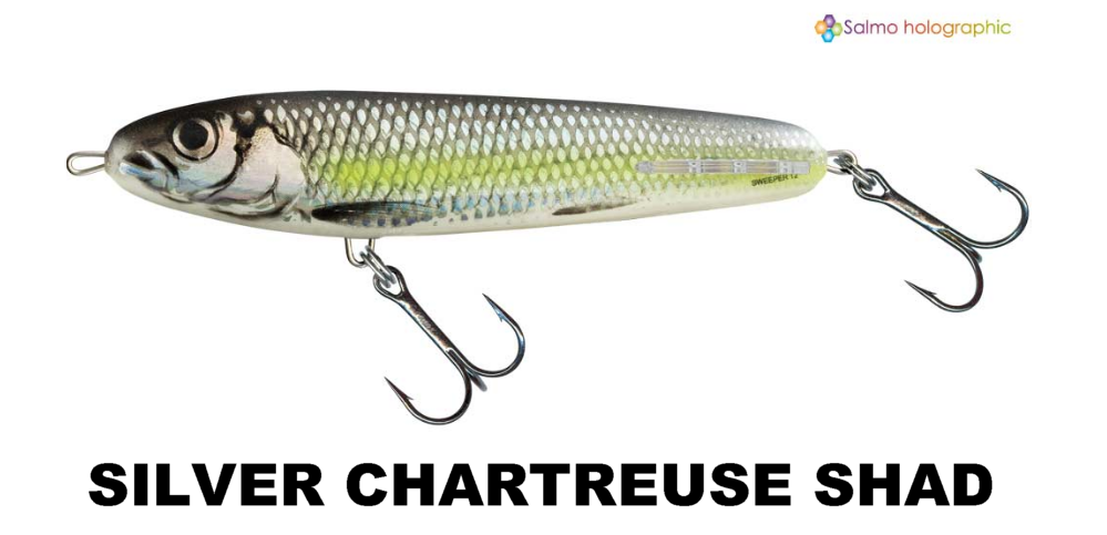 Sweeper Sinking - Salmo - immagine 2