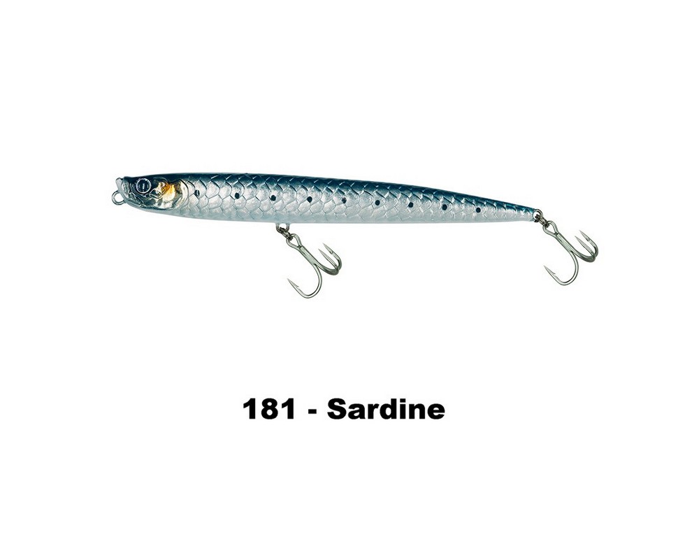 WTD 185 T Slim - Molix