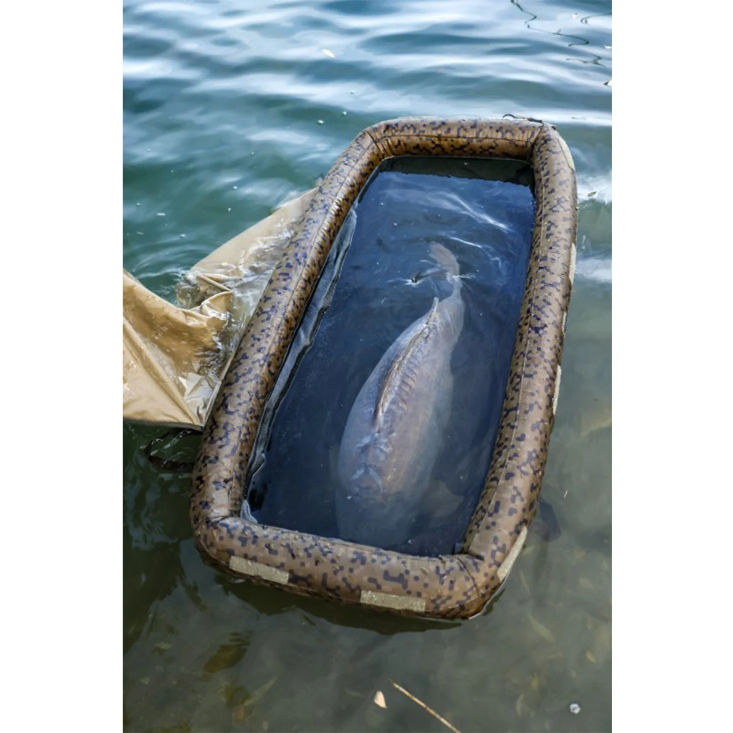 SP C-Tech Floatation Cell - Solar - immagine 3