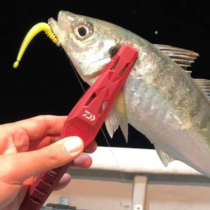 Fish Holder Light 200 C Deep Blue - Daiwa - immagine 2