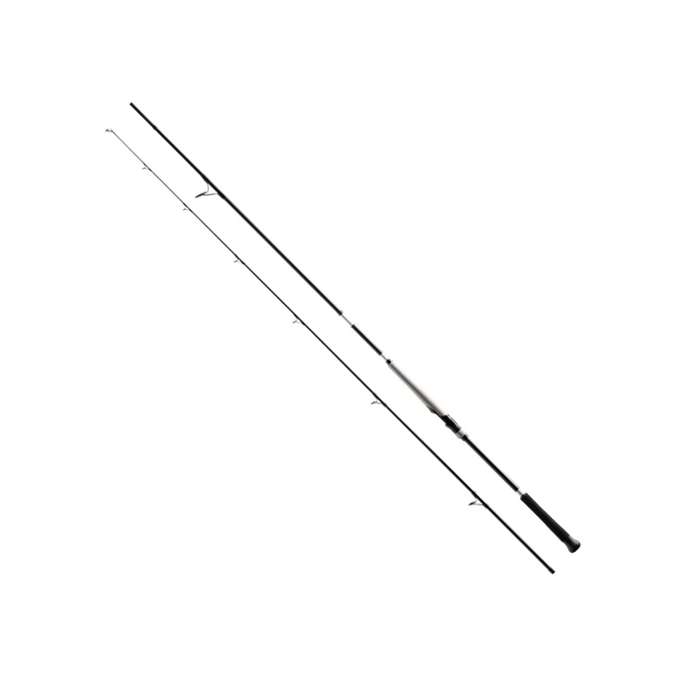 bassterra xt+ shore jigging shimano